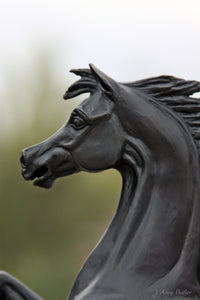 Prancing Horse Bronze Statue 