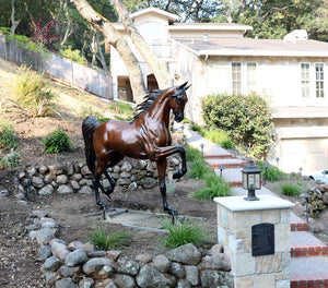 Escultura de bronce de caballo de tamaño natural "Paso alto". 84" de alto 