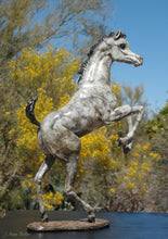 Load image into Gallery viewer, &quot;Dainty Dancer&quot; Miniature Bronze Foal Sculpture

