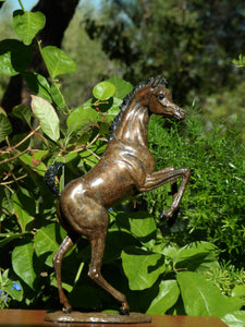 "Dainty Dancer" Miniature Bronze Foal Sculpture