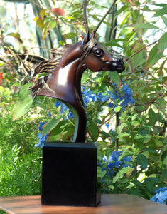 "Delight"  equine head study bronze sculpture