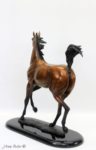 "Superstar" Arabian horse bronze sculpture
