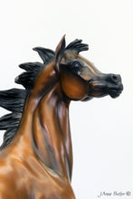 Load image into Gallery viewer, &quot;Superstar&quot; Arabian horse bronze sculpture
