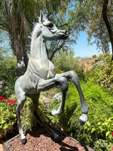 Cargar imagen en el visor de la galería, Horse bronze sculpture
