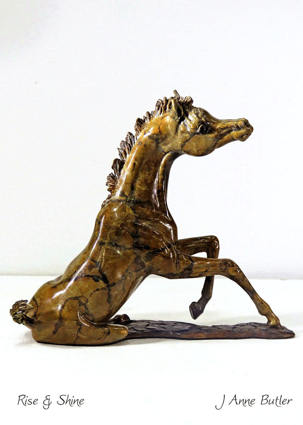 Esculturas de potro de bronce en miniatura 