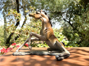 "Rise and Shine" Miniature Bronze Foal Sculptures.       (Available Now)
