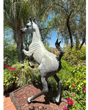 Load image into Gallery viewer, Horse bronze sculpture
