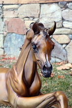 Load image into Gallery viewer, &quot;Hope&quot;  Life size Bronze Foal Sculpture.
