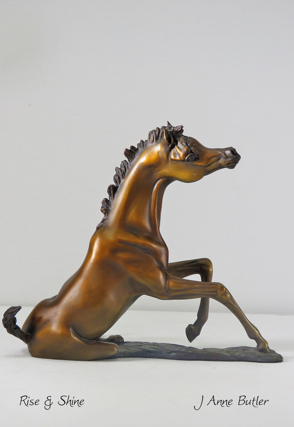 Escultura de potro de bronce en miniatura 