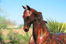 Cargar imagen en el visor de la galería, Stepping High equine bronze sculpture
