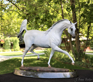" Arabian Dream " bronze Arabian mare statue