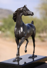 Load image into Gallery viewer, Arabian Horse Bronze Sculpture
