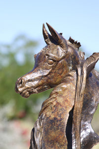 Horse bronze sculpture