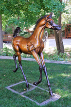 Cargar imagen en el visor de la galería, Life size Arabian foal bronze sculpture.
