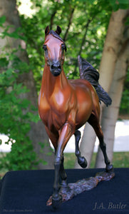 Supreme Stallion -  Arabian Stallion Bronze Sculpture.