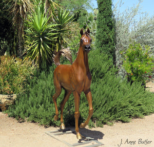Escultura de bronce de caballo árabe de tamaño natural "Sueño de primavera" "160 cm 64" de alto 
