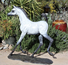 Load image into Gallery viewer, Life size Arabian foal bronze sculpture.
