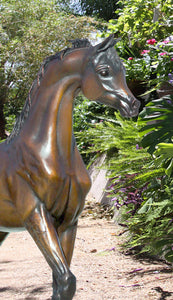 Life size Arabian foal bronze sculpture.