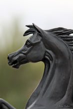 Cargar imagen en el visor de la galería, Prancing Horse Bronze Statue 
