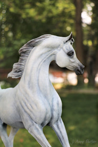 Escultura de bronce del caballo árabe "Sirocco" 