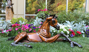 "Hope"  Life size Bronze Foal Sculpture.