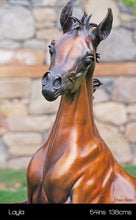 Cargar imagen en el visor de la galería, Layla Arabian Horse Bronze Sculpture
