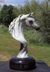 Arabian horse bronze bust in grey patina.