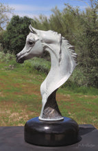 Load image into Gallery viewer, Oasis bronze by J Anne Butler in grey patina
