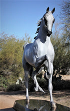 Cargar imagen en el visor de la galería, Stepping High equine bronze sculpture
