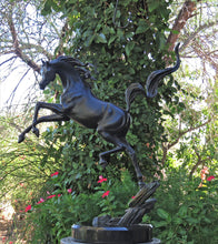 Load image into Gallery viewer, &quot;Sunshine Dancer&quot; Equine Bronze Sculpture.

