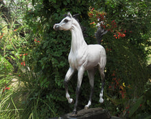 Cargar imagen en el visor de la galería, Superstar Arabian stallion bronze sculpture.
