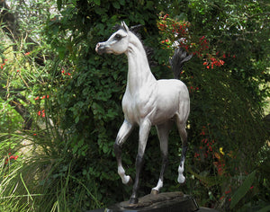 Superstar Arabian stallion bronze sculpture.