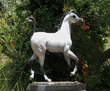 Load image into Gallery viewer, Superstar Arabian stallion bronze sculpture.
