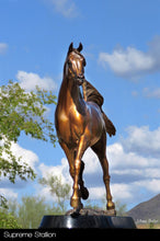 Load image into Gallery viewer, Supreme Stallion -  Arabian Stallion Bronze Sculpture.
