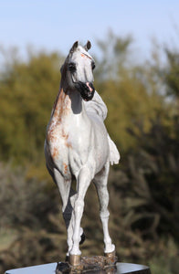 WH Justice Arabian horse bronze sculpture