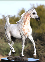 Load image into Gallery viewer, WH Justice Arabian horse bronze sculpture
