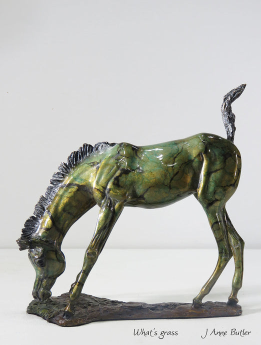 Bronze foal sculpture in contemporary  bronze patina